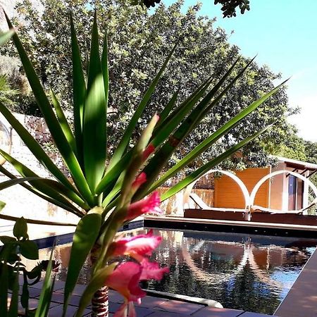 Villa Costa Sauci Сан-Вито-Ло-Капо Экстерьер фото